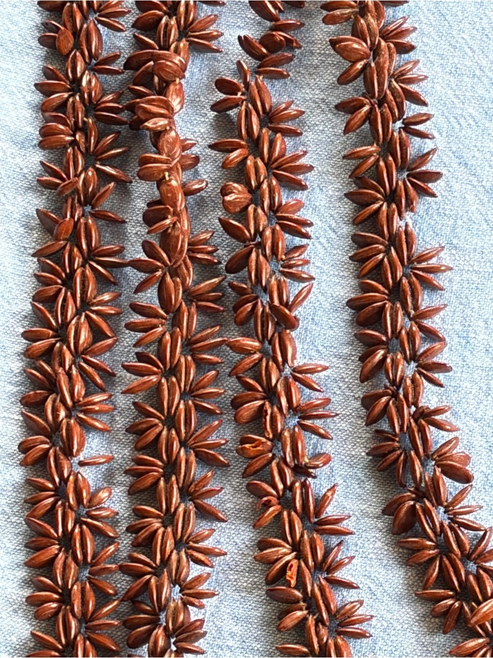 Bundle of 3 natural shell & seed necklaces, beachy coastal vacation-ready - Picture 4 of 8
